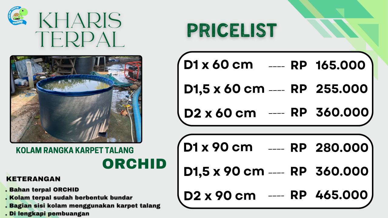 WhatsApp Image 2026-02-04 at 13.14.49 (2)