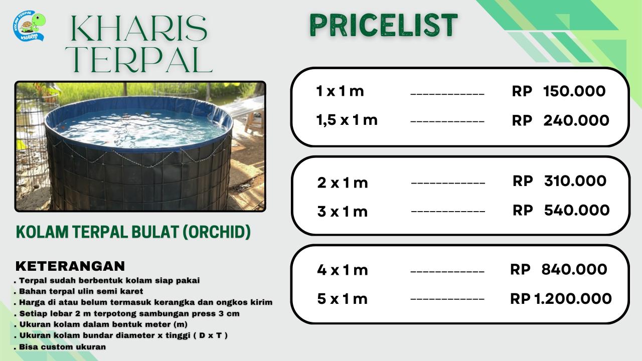 WhatsApp Image 2026-02-04 at 13.14.50